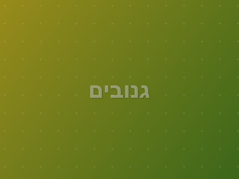 גנובים escape room - רחובות, Israel | Escape Room
